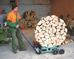 Transport mit Rolleroption